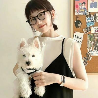 双面骗子虚假警察第二季